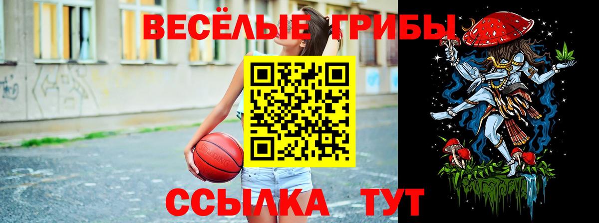 Галлюциногенные грибы GOLDEN TEACHER  Псилоцибиновые грибы прущие грибы  Вход с VPN  Ржев 